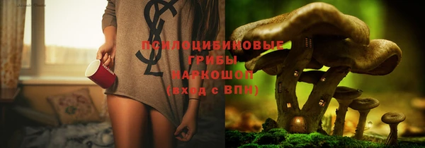 PSILOCYBIN Алексеевка