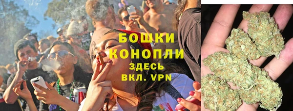 PSILOCYBIN Алексеевка