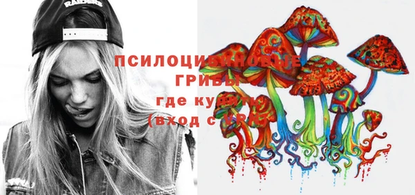 2c-b Алексин