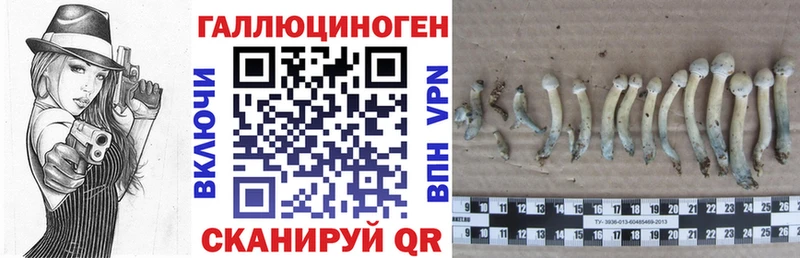 Галлюциногенные грибы мицелий  Любим 